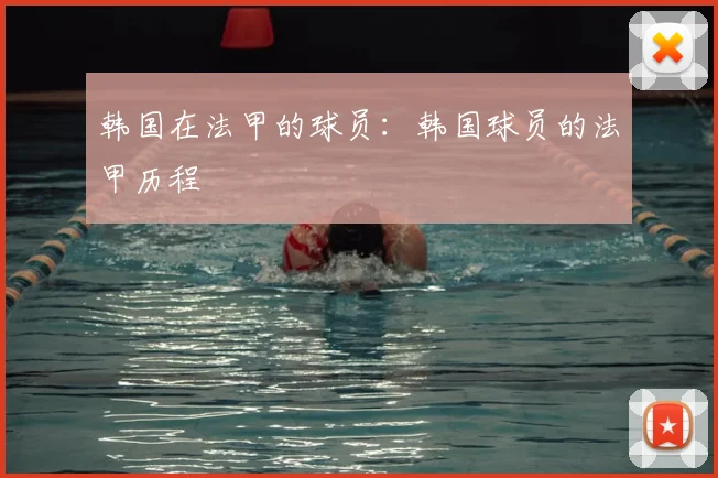 韩国在法甲的球员:韩国球员的法甲历程