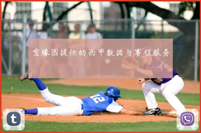 雪缘园提供的西甲数据与赛程服务