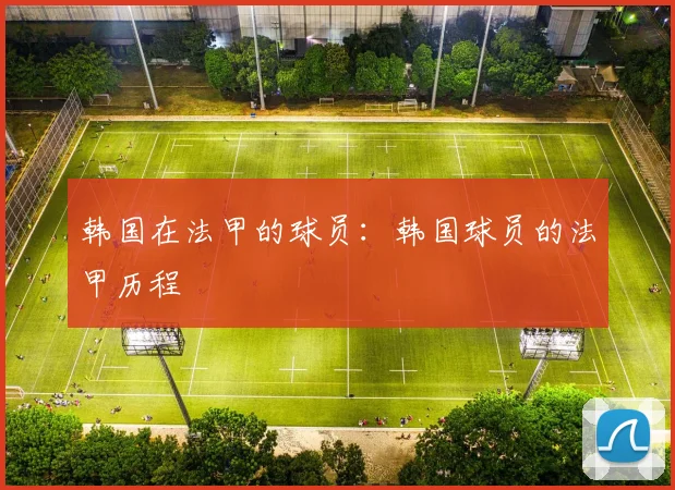 韩国在法甲的球员：韩国球员的法甲历程