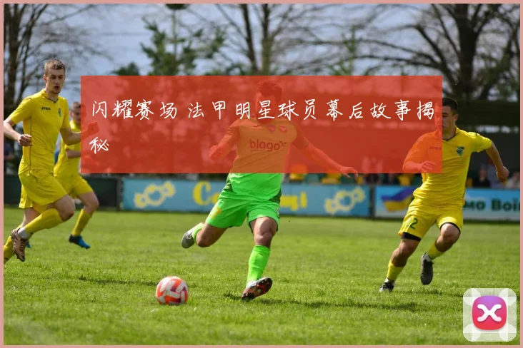 闪耀赛场 法甲明星球员幕后故事揭秘